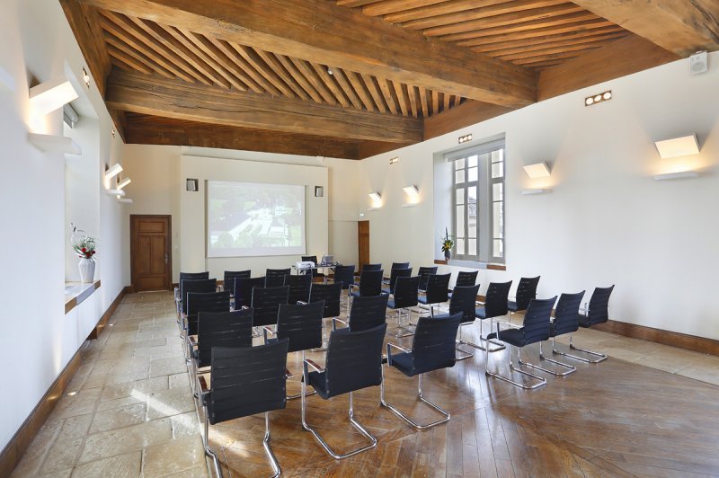 Château de Pizay - photo 2