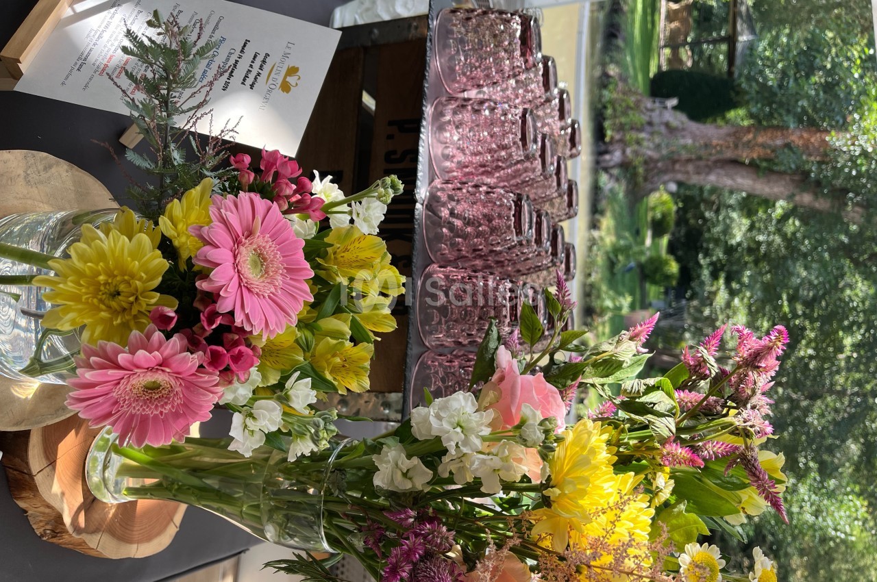 Le Moulin D'orgeval - galerie - photo 21