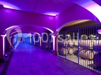 Château L'hospitalet - photo 3