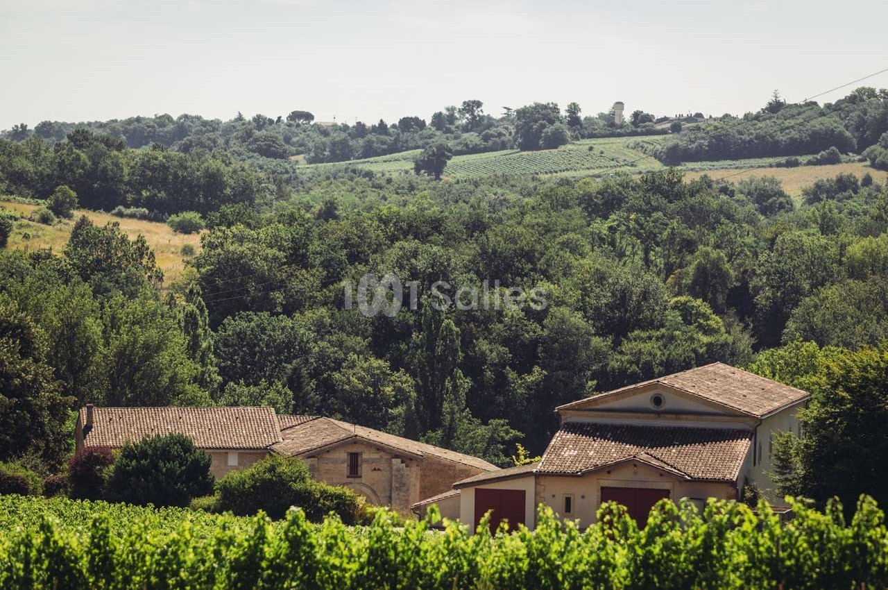 Vue d'un paysage rural avec des bâtiments en pierre entourés de vignes et de collines verdoyantes.