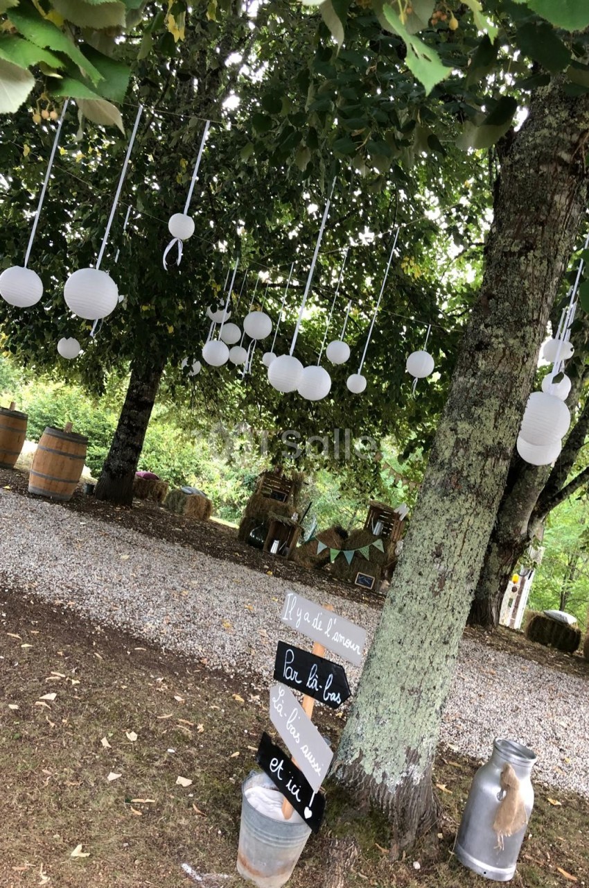 Guirlandes de lanternes blanches suspendues aux arbres dans un espace extérieur décoré avec des tonneaux et des panneaux.
