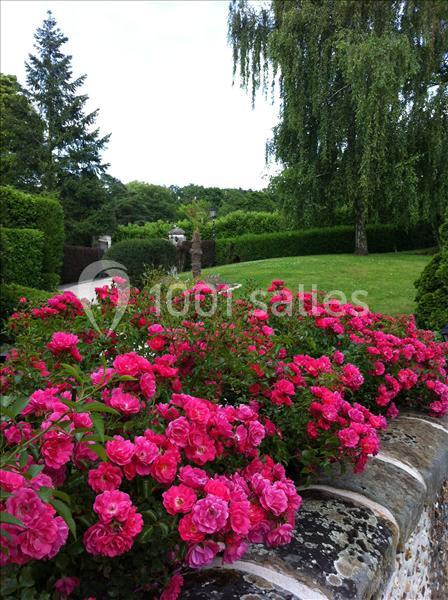 Domaine Des Acacias - galerie - photo 18