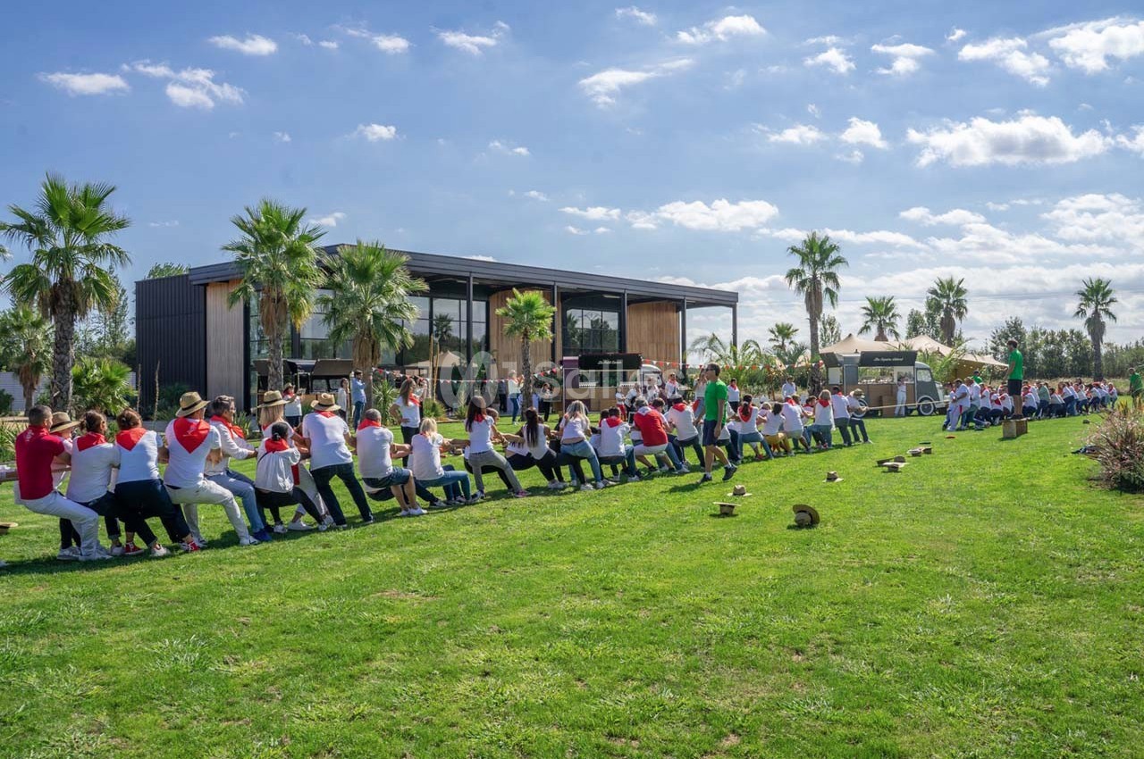 Un groupe de personnes participe à un tir à la corde sur une pelouse devant un bâtiment moderne entouré de palmiers.