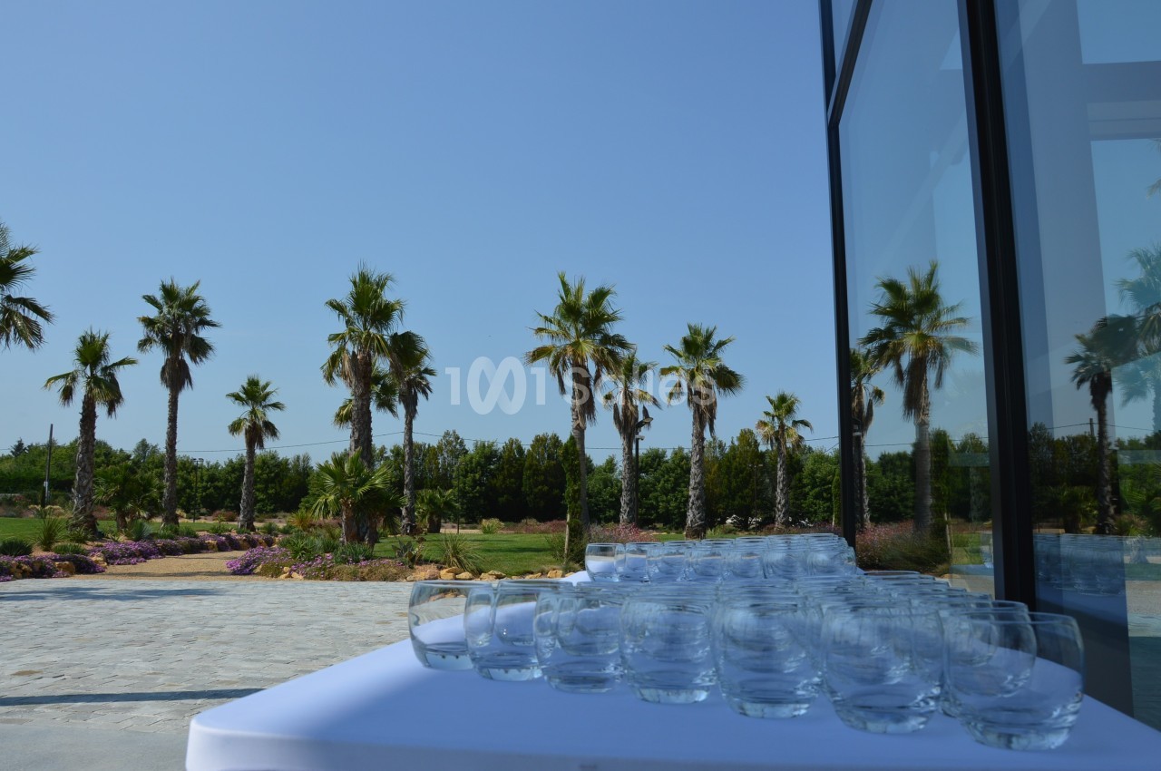 Verres transparents disposés sur une table blanche en extérieur, avec des palmiers et un ciel dégagé en arrière-plan.
