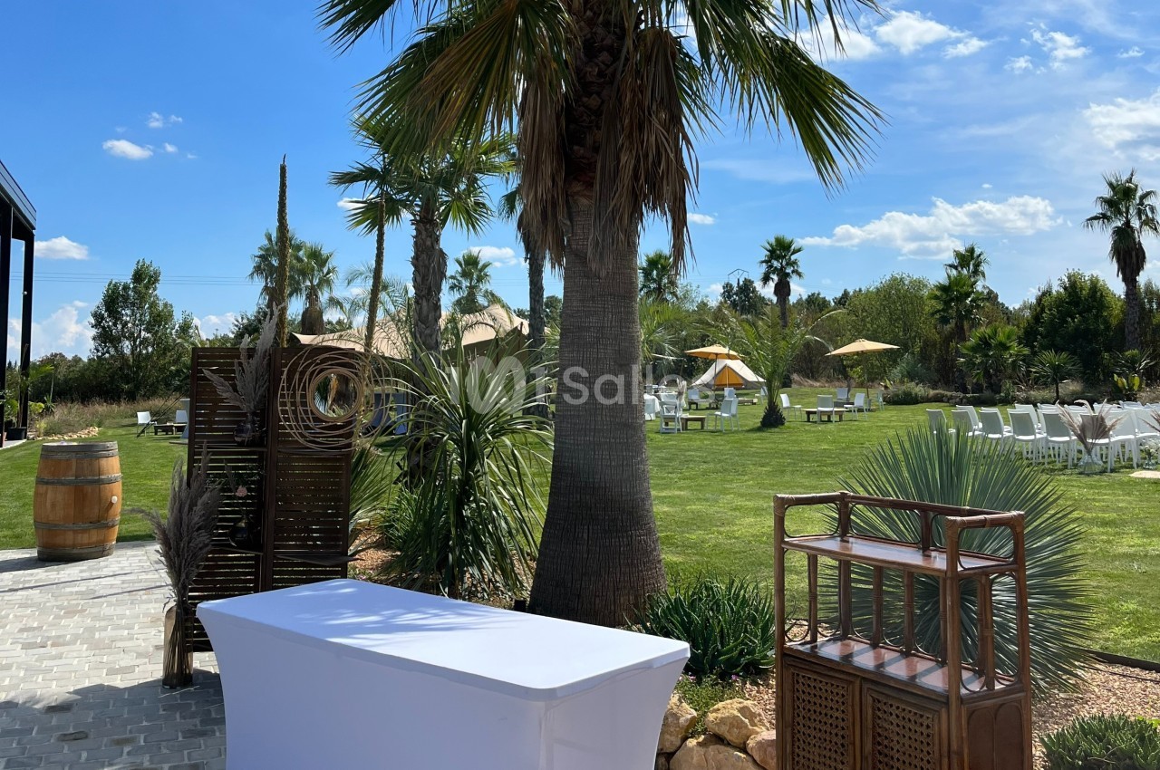 Jardin extérieur avec palmiers, pelouse, mobilier de jardin et table blanche sous un ciel ensoleillé.