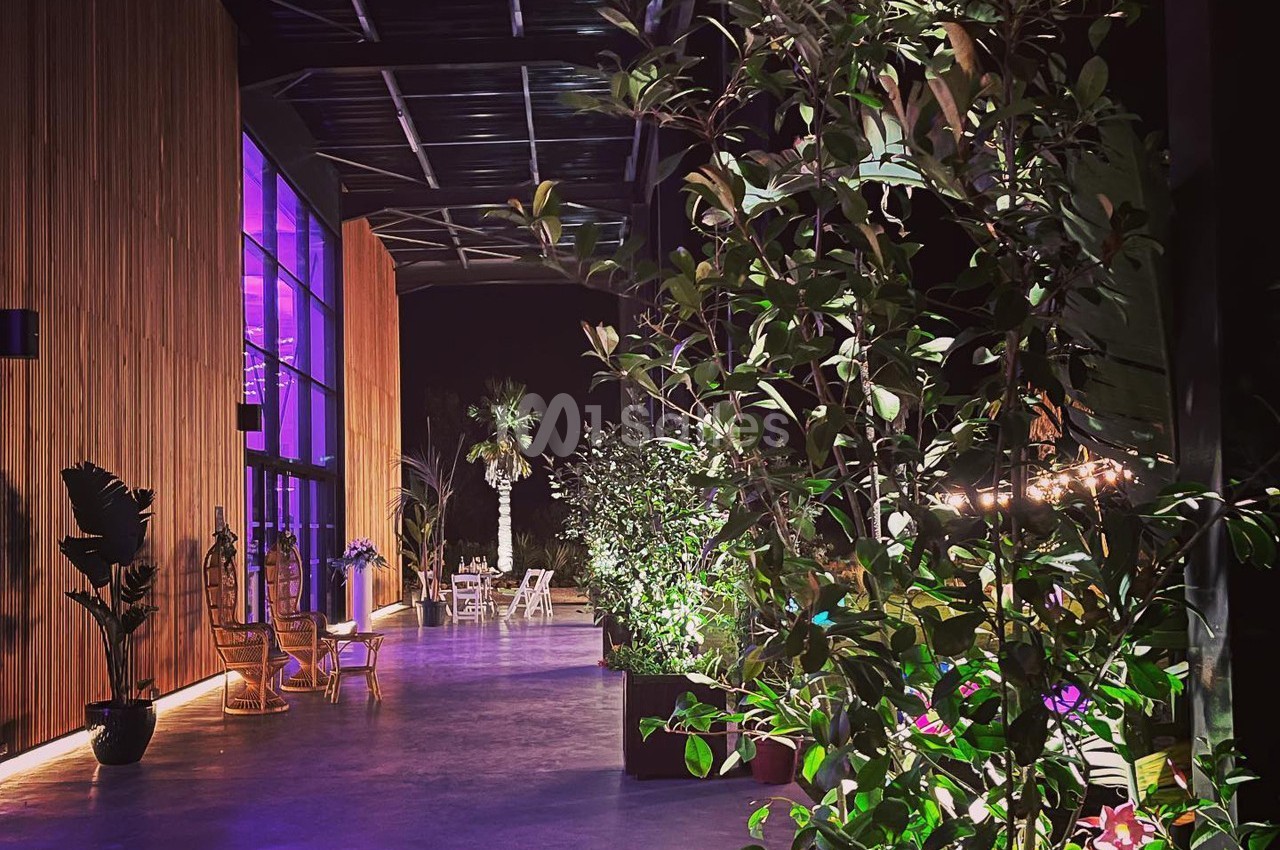 Terrasse éclairée de nuit avec des plantes en pot, des chaises en rotin et une lumière violette émanant d'une baie vitrée.