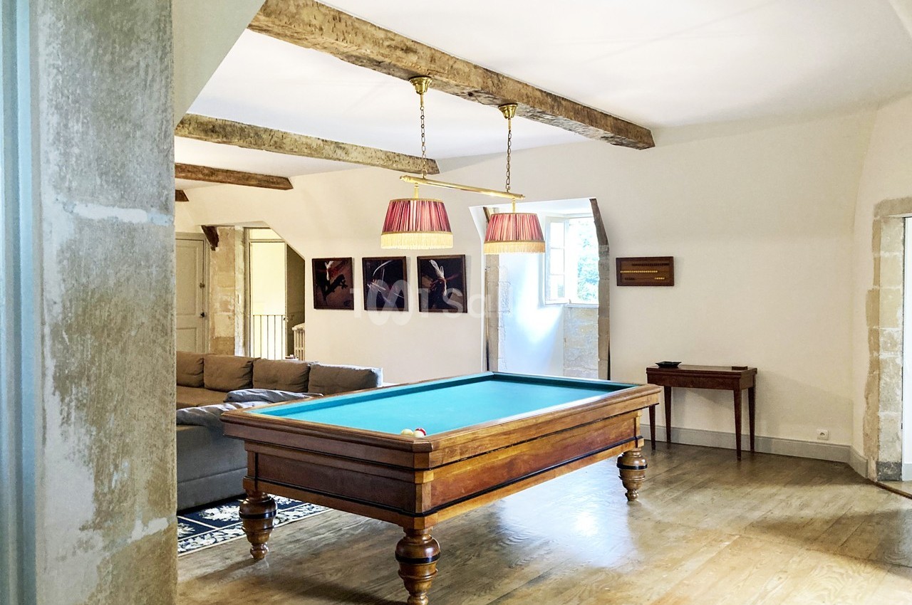 Chateau de Saint Martory - galerie - photo 6