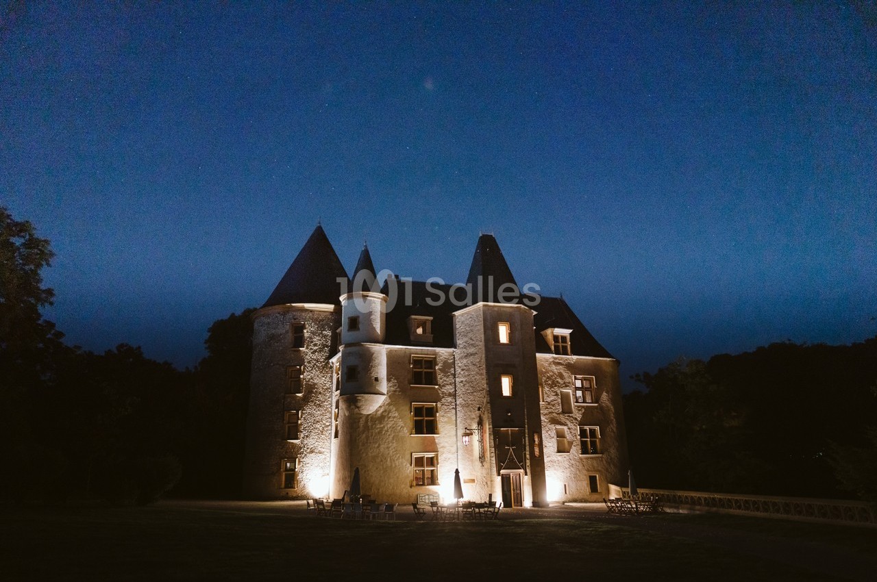 Chateau de Saint Martory - galerie - photo 8