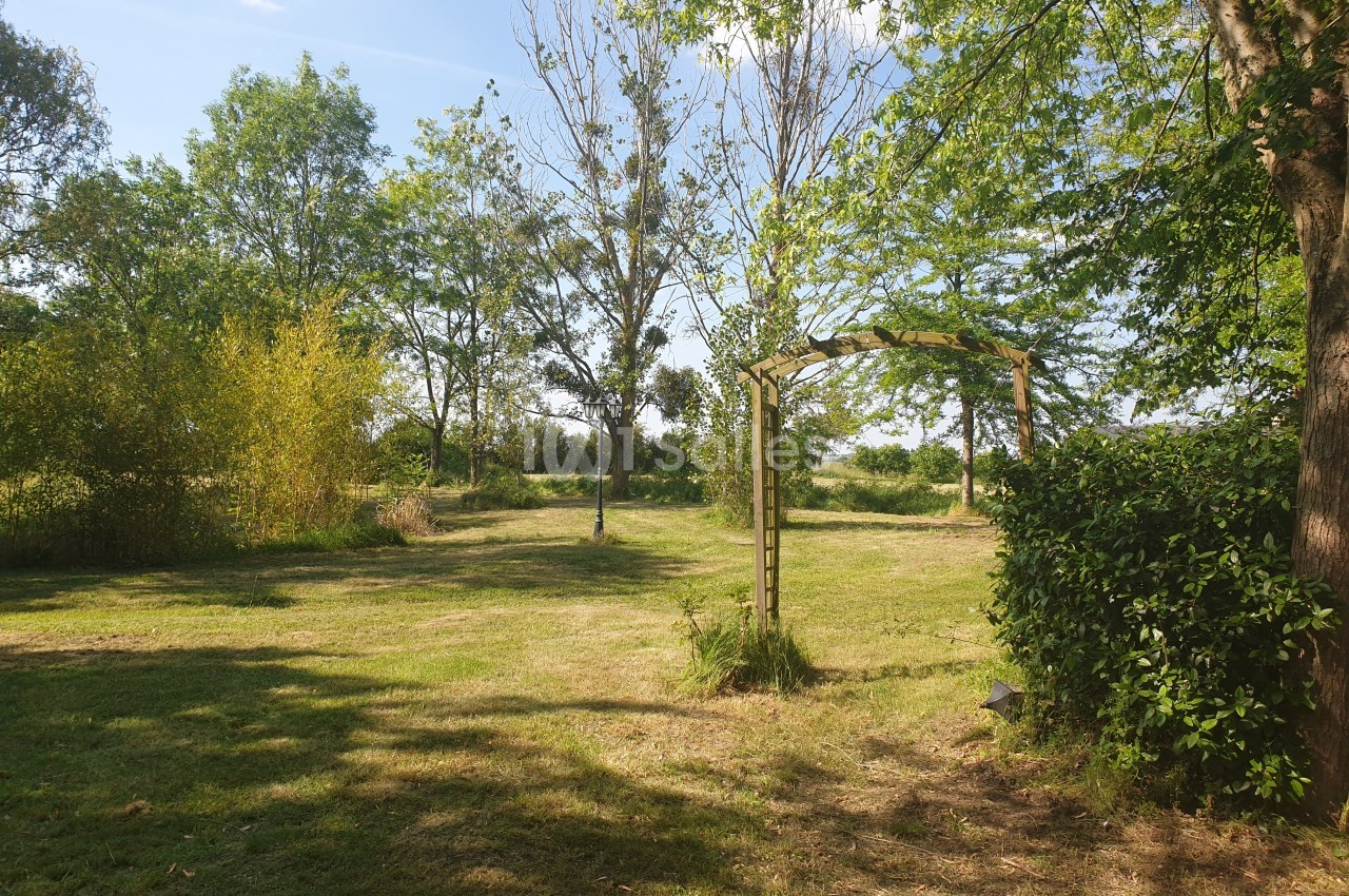 Jardin verdoyant avec pelouse, arbres et une arche en bois entourée de végétation sous un ciel dégagé.