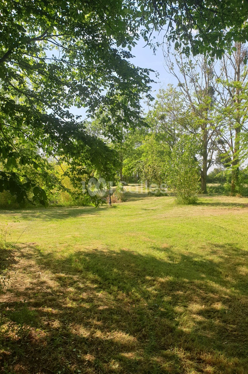 Vue d'un espace vert avec pelouse, arbres feuillus et chemin ombragé sous un ciel dégagé.