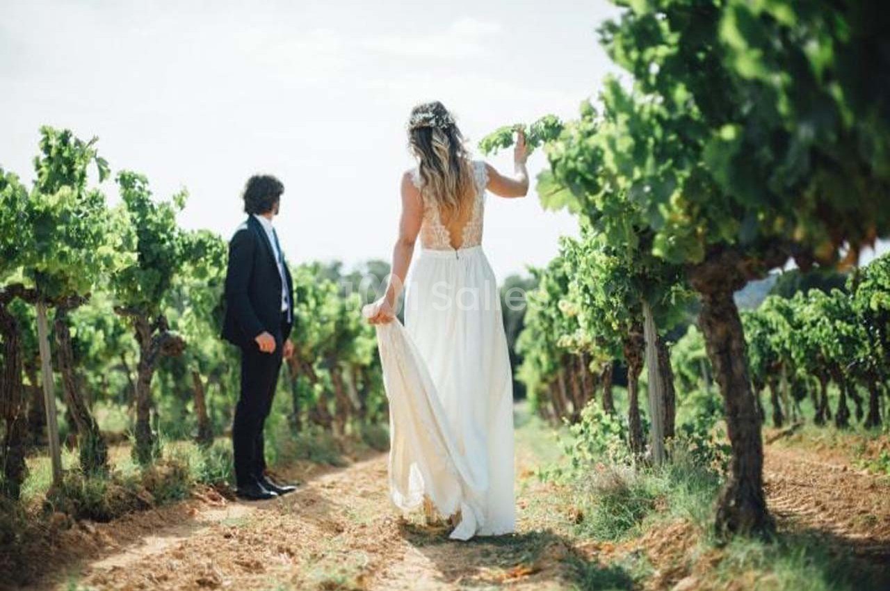 Une femme en robe blanche marche dans un vignoble, tenant sa robe, suivie par un homme en costume.