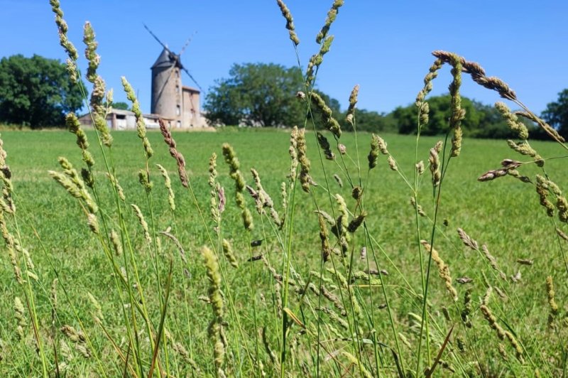 Moulin de la Noue Ronde - photo 2