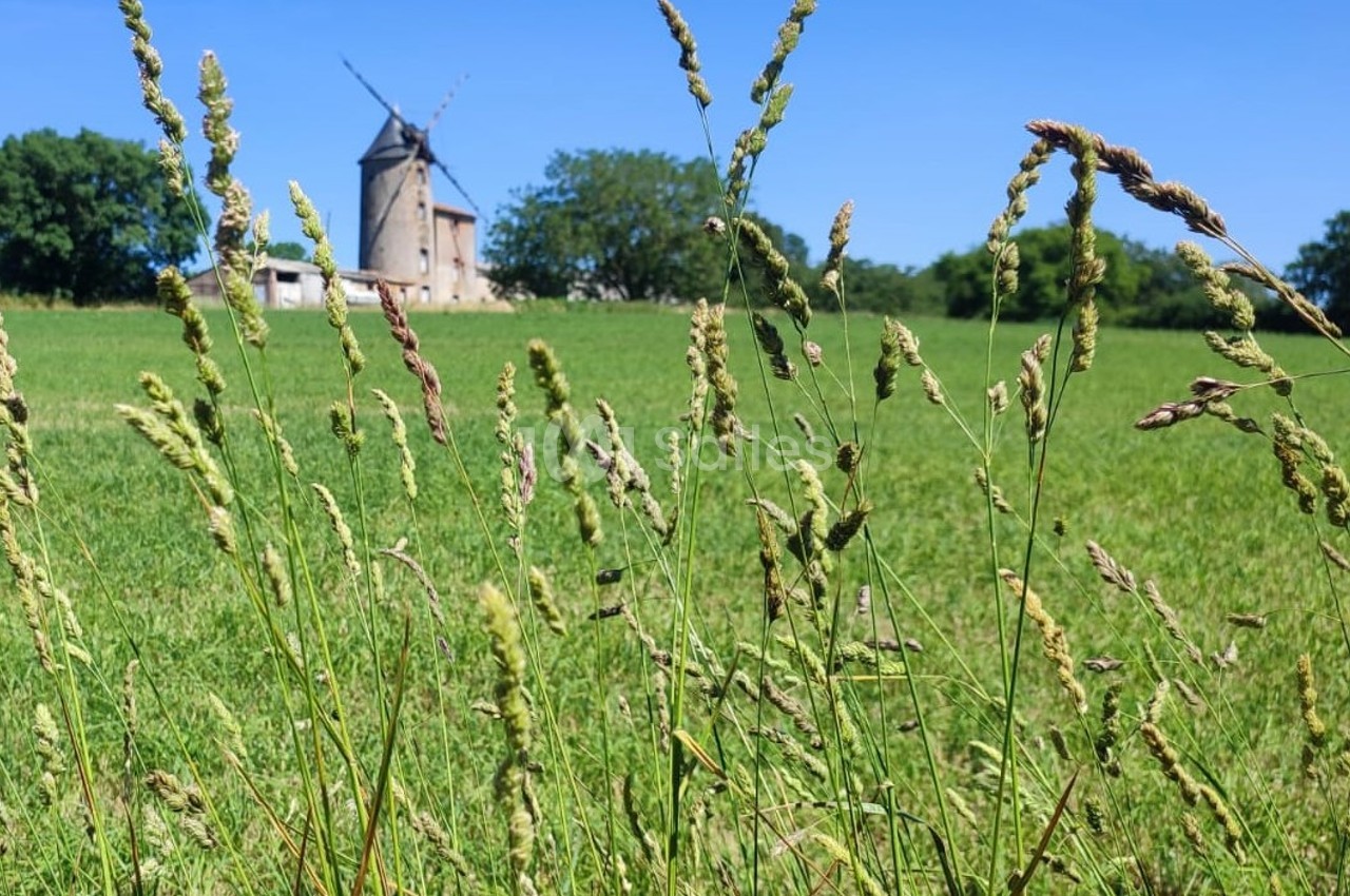Moulin de la Noue Ronde - galerie - photo 2