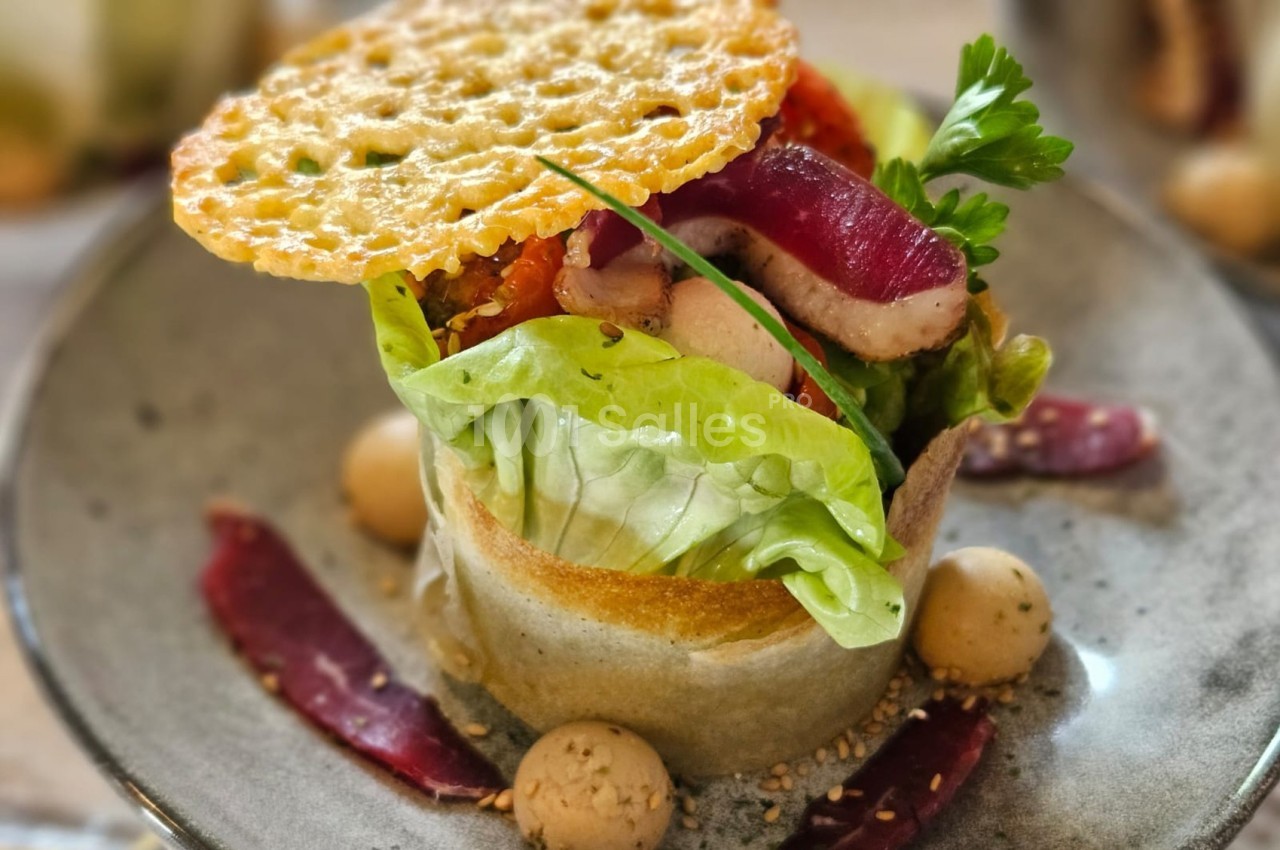 Assiette gastronomique avec salade, magret de canard, chips de parmesan et décoration de purée en billes.