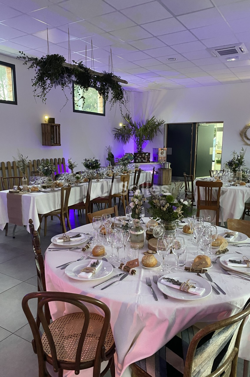 Salle décorée pour un événement avec tables rondes dressées, chaises en bois et végétation suspendue.