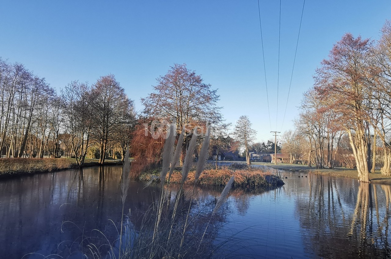 Plan d'eau entouré d'arbres aux couleurs automnales sous un ciel bleu, avec un petit pont visible au loin.