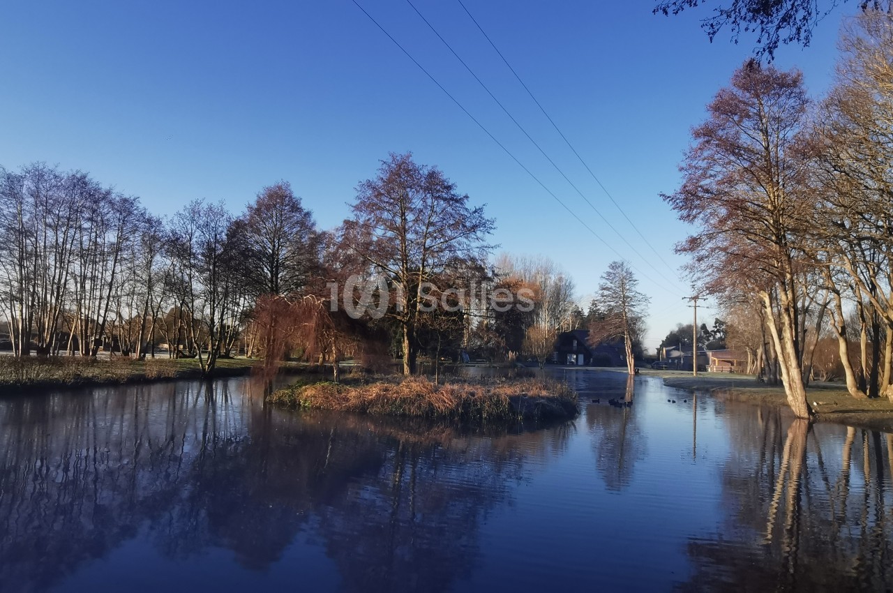 Étang calme entouré d'arbres en hiver, avec un ciel bleu dégagé et des reflets sur l'eau.