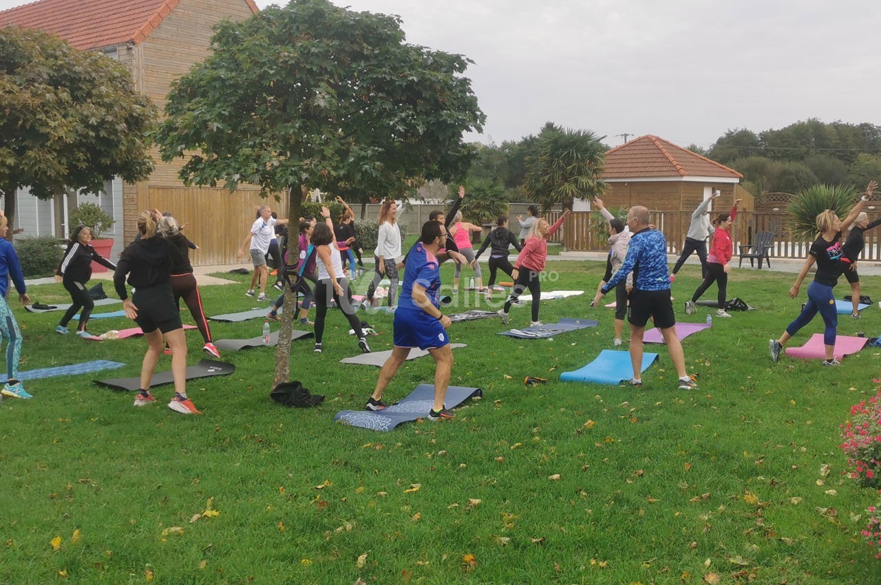 Groupe de personnes pratiquant des exercices physiques en plein air sur des tapis dans un espace vert.