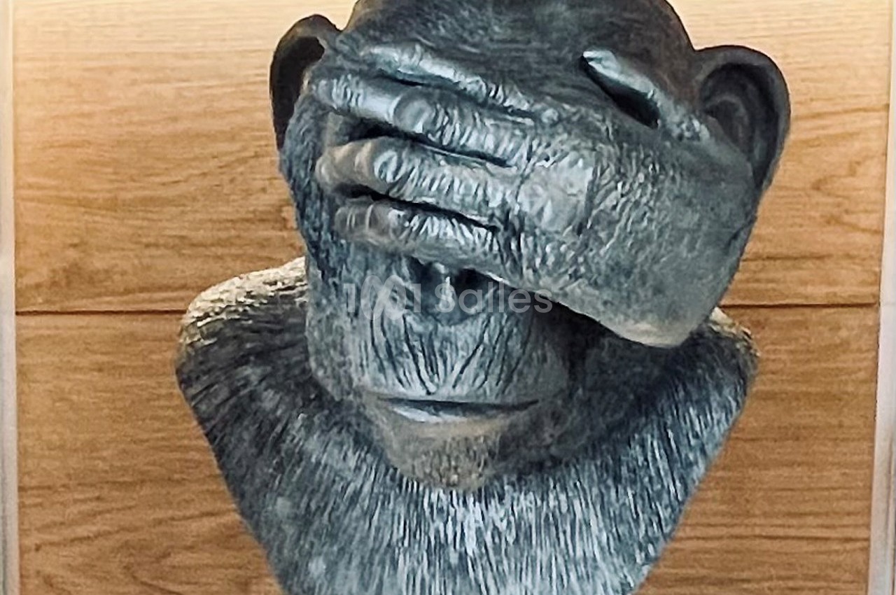 Les Trois Singes - galerie - photo 5
