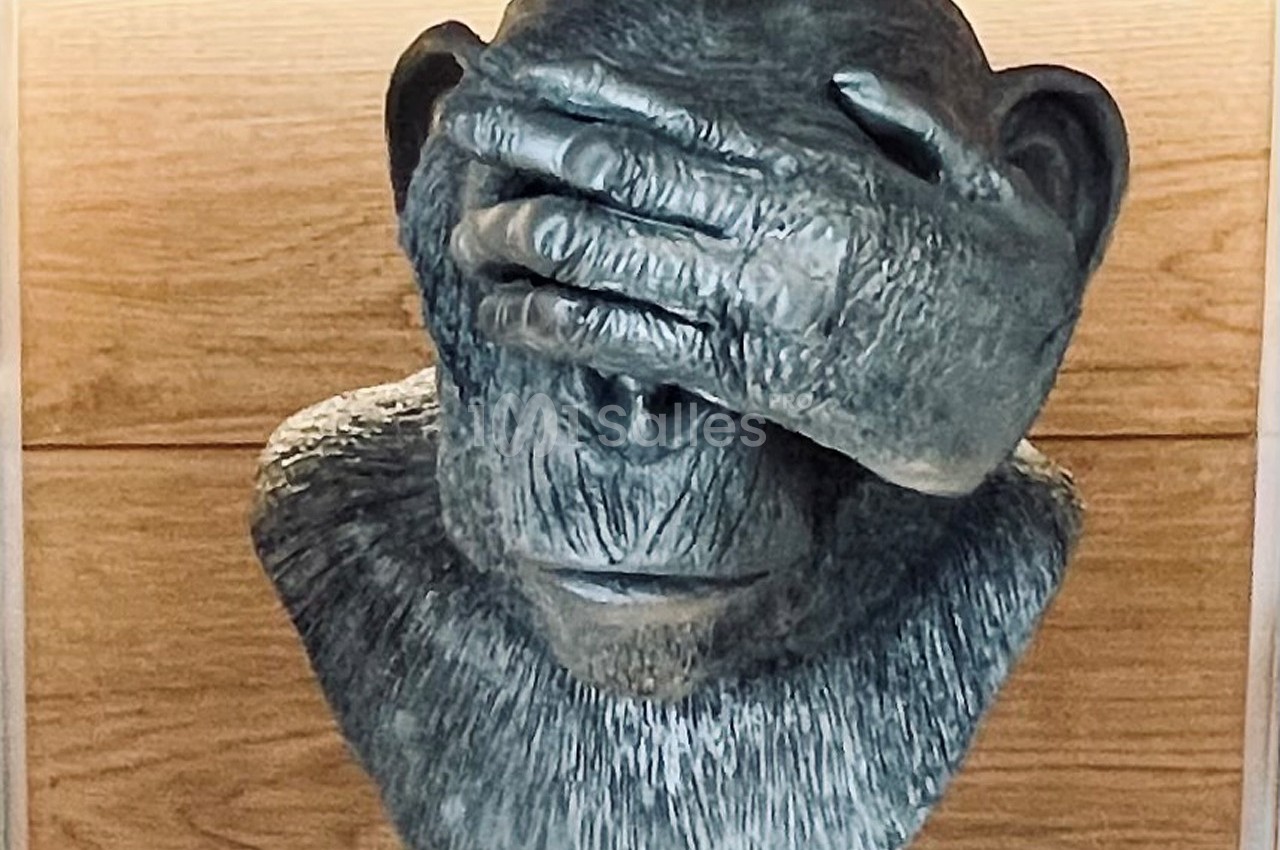 Les Trois Singes - galerie - photo 5