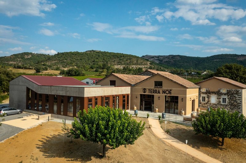Domaine Terra Noé - photo 4