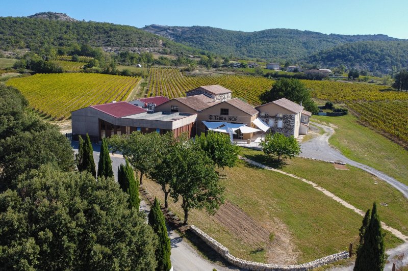 Domaine Terra Noé - photo 2