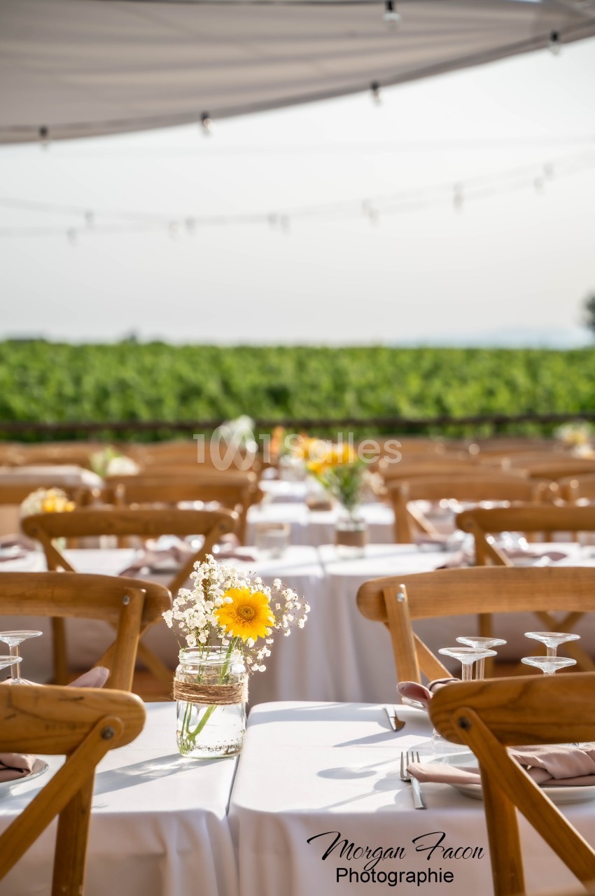 Tables décorées avec des fleurs jaunes et blanches sous une tente, avec une vue sur des vignes en arrière-plan.