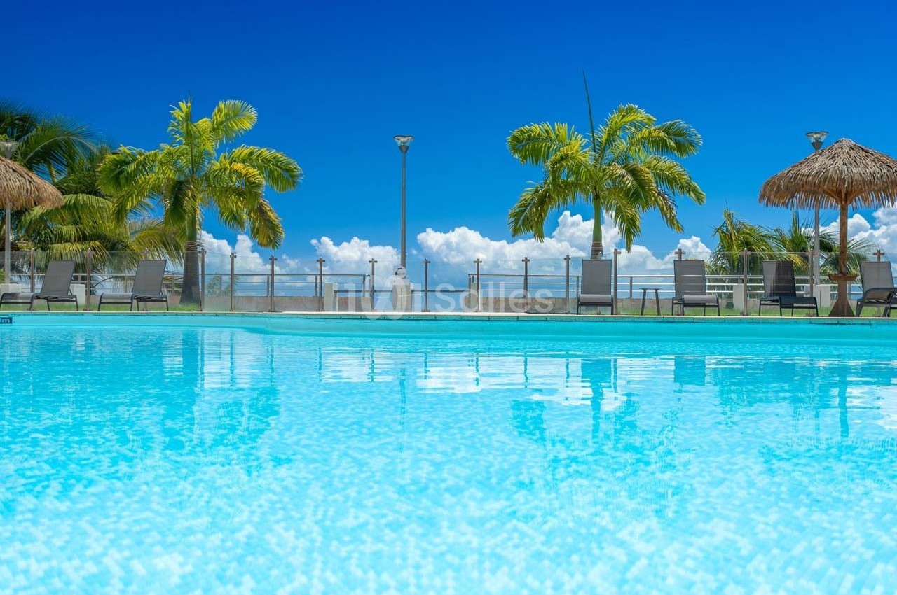 Piscine extérieure avec eau turquoise, entourée de palmiers, chaises longues et ciel bleu en arrière-plan.