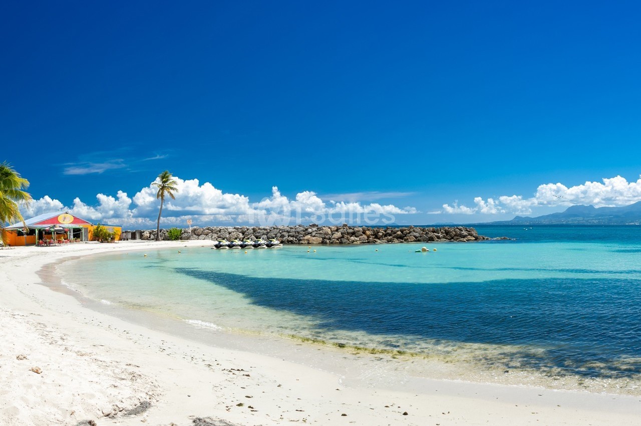 Plage de sable blanc bordée de palmiers avec eau turquoise, ciel dégagé et quelques bâtiments en arrière-plan.