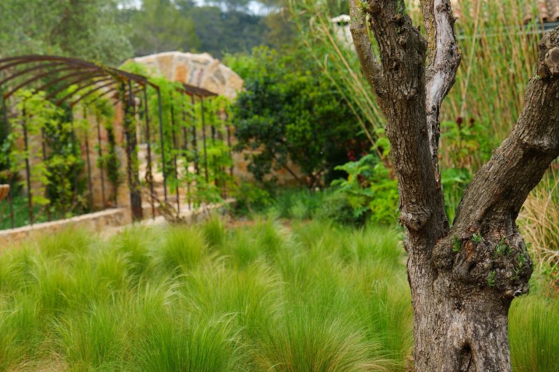 Domaine La Cascade d'Argens - photo 5