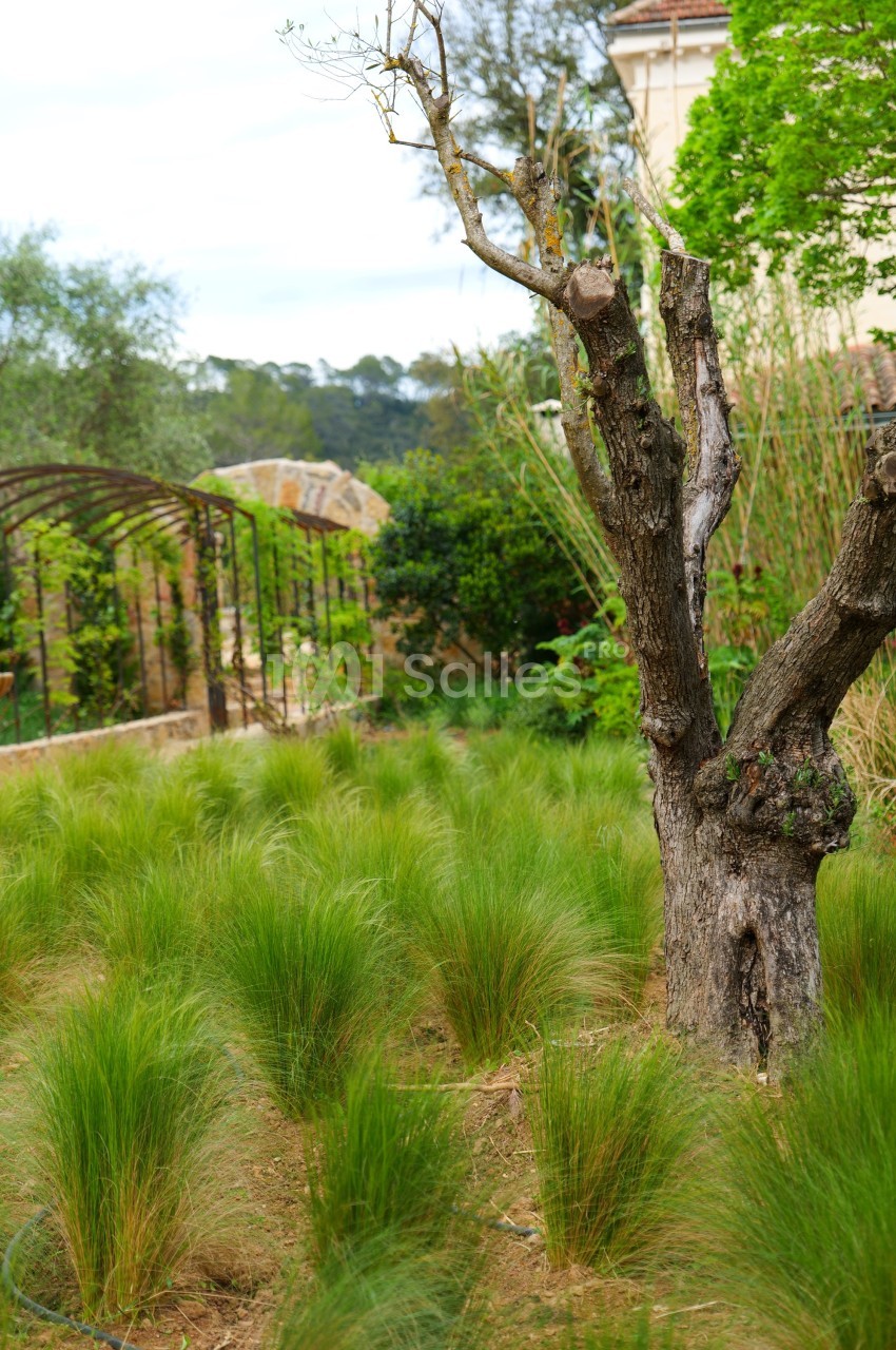 Domaine La Cascade d'Argens - galerie - photo 5