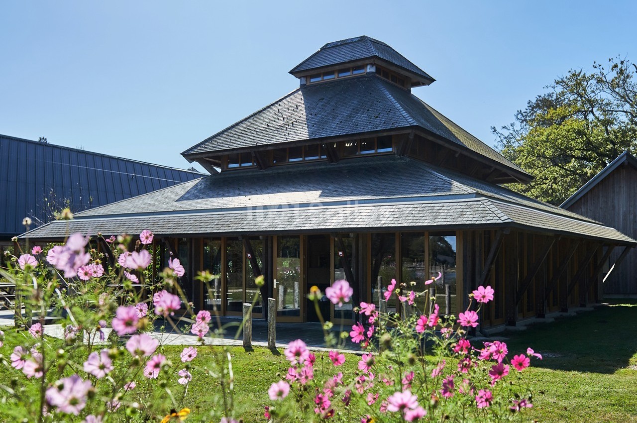 Bâtiment en bois avec toit en pente, grandes fenêtres et fleurs roses au premier plan sous un ciel bleu.