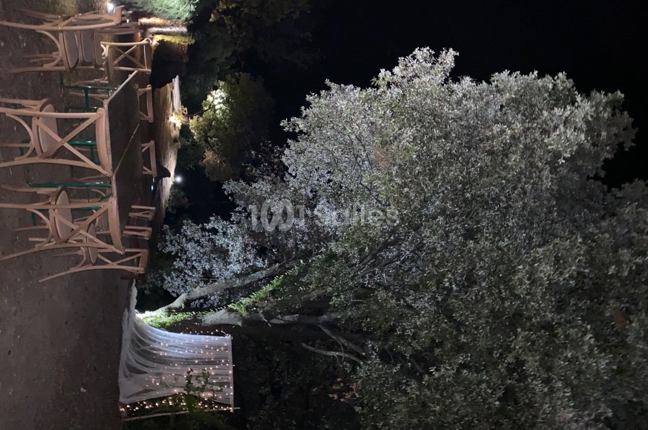 Allée extérieure éclairée la nuit, bordée de chaises en bois et d'arbres, avec une toile lumineuse en arrière-plan.