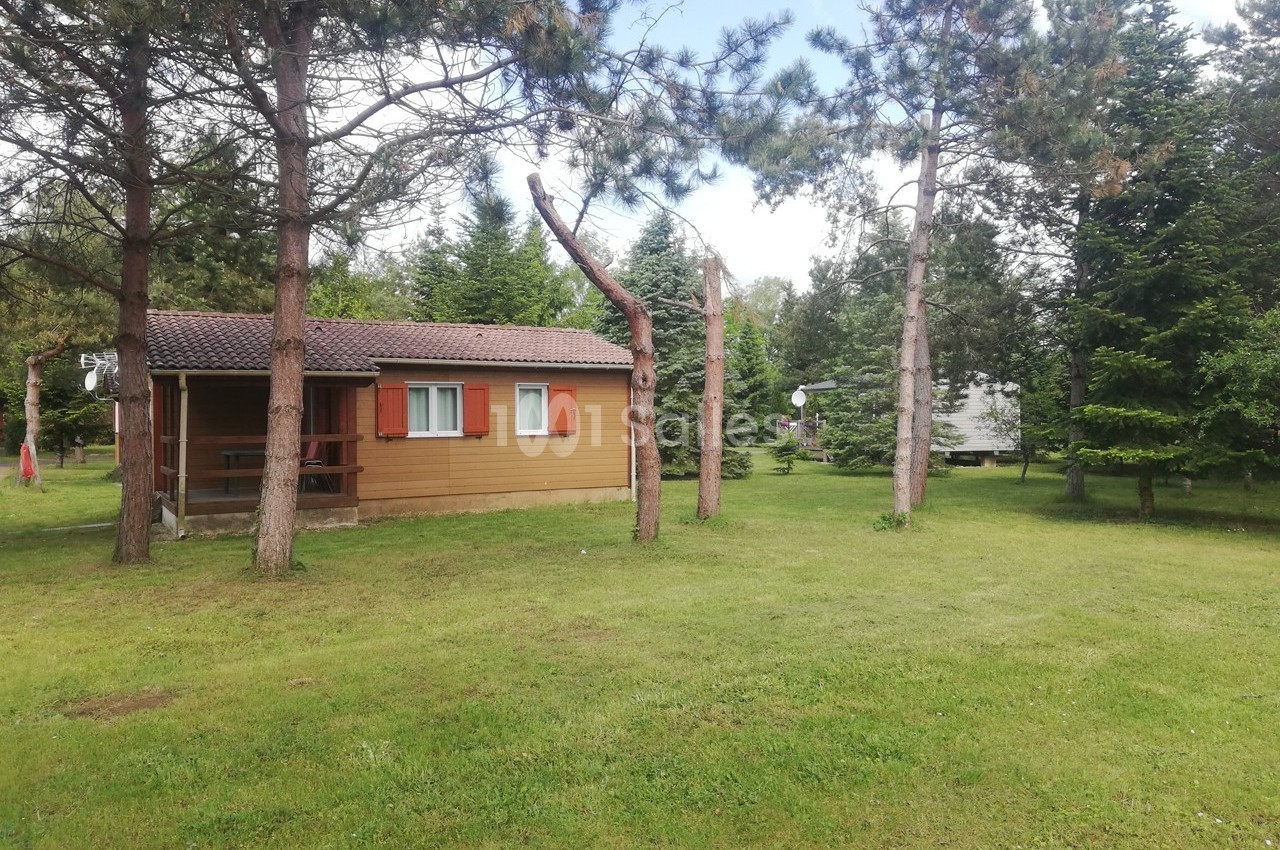 Chalet en bois entouré de pelouse et d'arbres dans un environnement naturel.