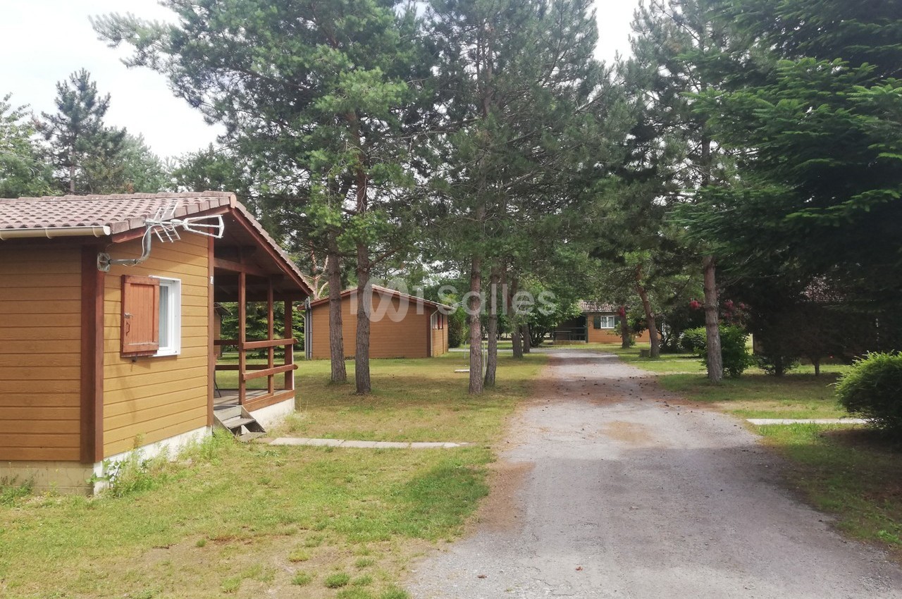 Allée bordée de chalets en bois entourés d'arbres et de pelouses dans un cadre naturel.
