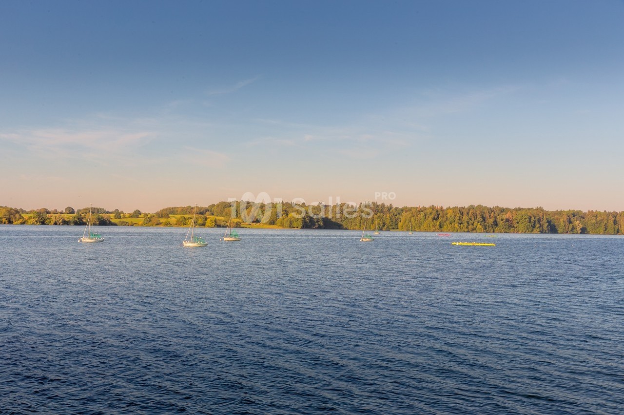 Vue d'un lac calme avec des voiliers dispersés et une forêt en arrière-plan sous un ciel dégagé.