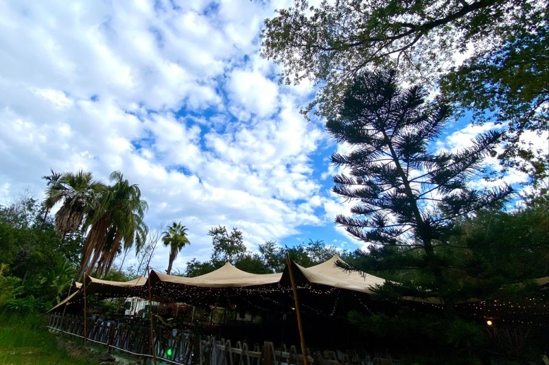 Jardin d'Eden Event - photo 3