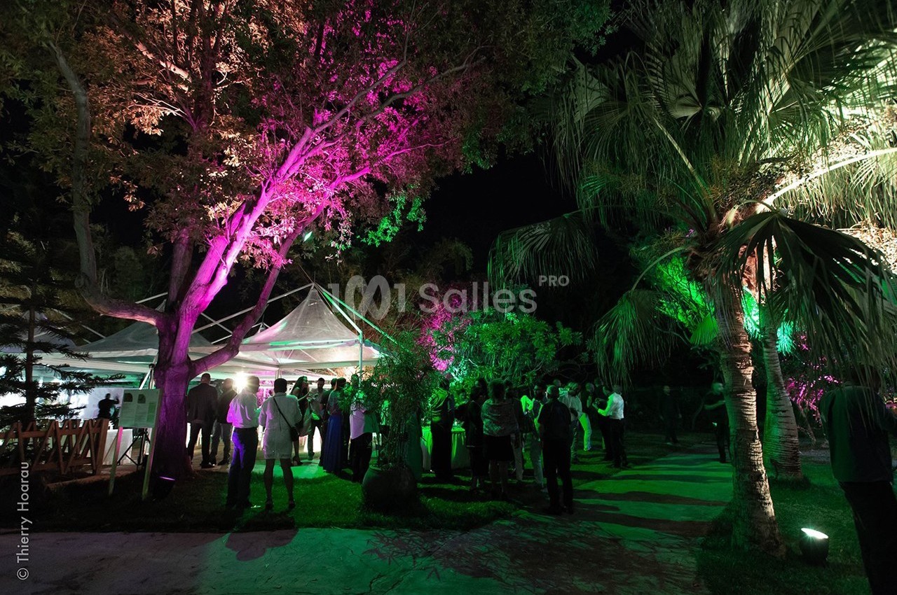 Groupe de personnes rassemblées sous des arbres illuminés de lumières colorées lors d'un événement nocturne en extérieur.