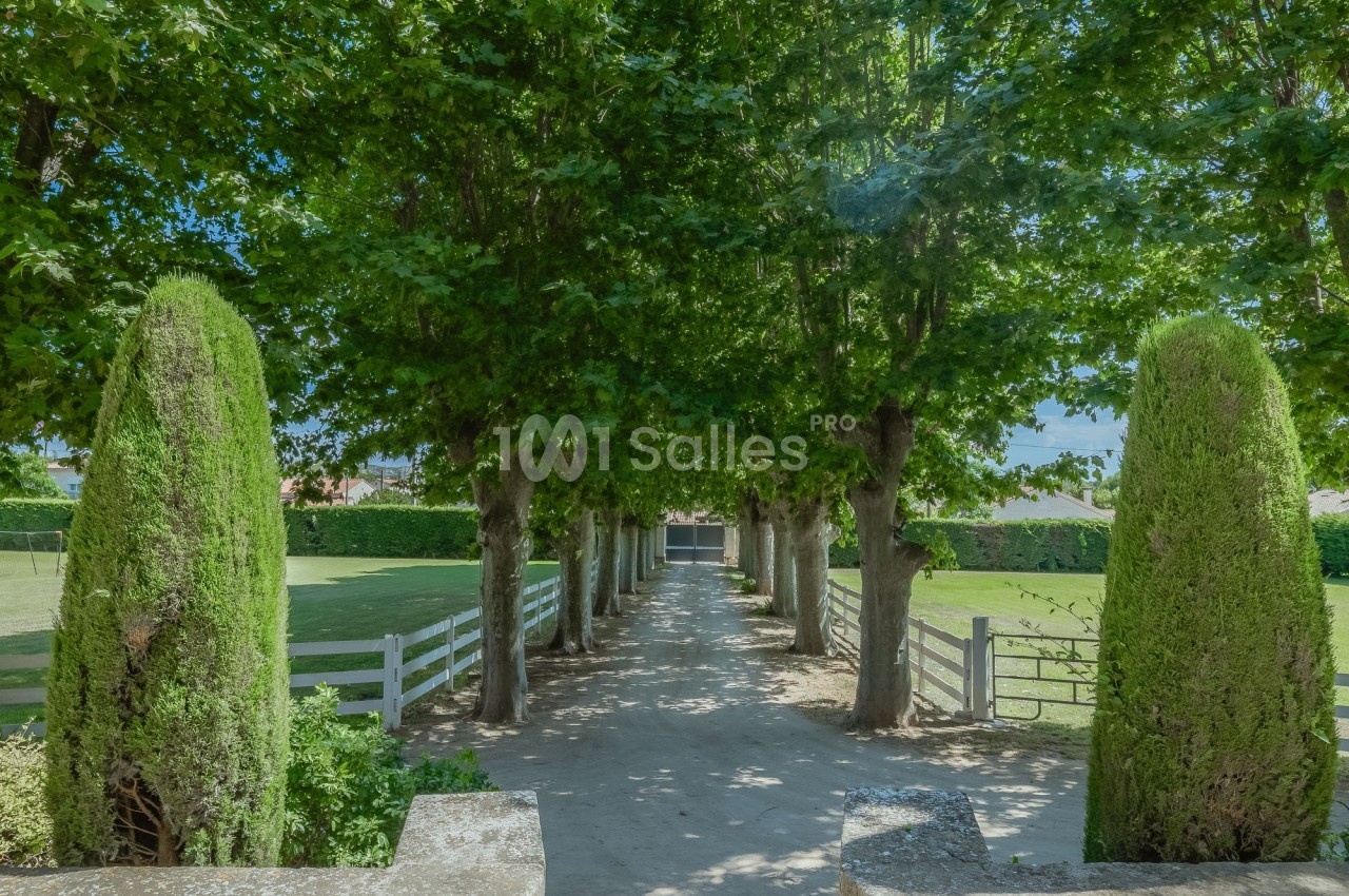 Allée bordée d'arbres et de haies, menant à une clôture blanche dans un cadre verdoyant.