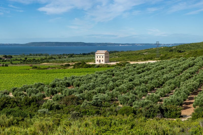 Villa Bellevue Château Calissanne - photo 1