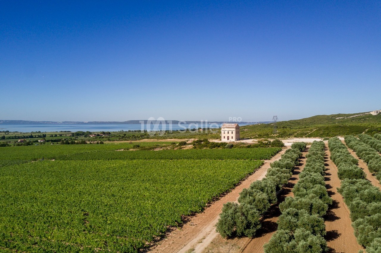 Villa Bellevue Château Calissanne - galerie - photo 5