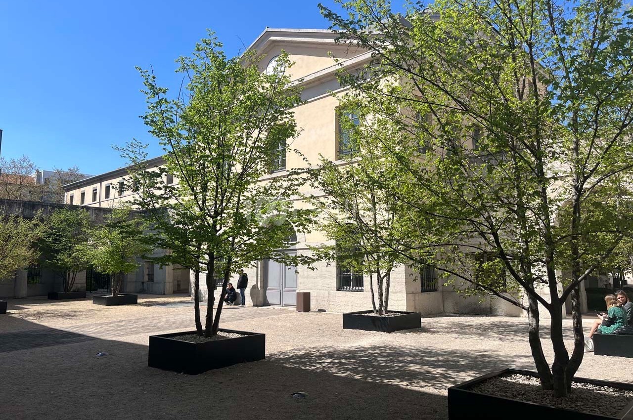 Cour intérieure ensoleillée avec des arbres en bacs, des bâtiments en arrière-plan et quelques personnes assises ou debout.