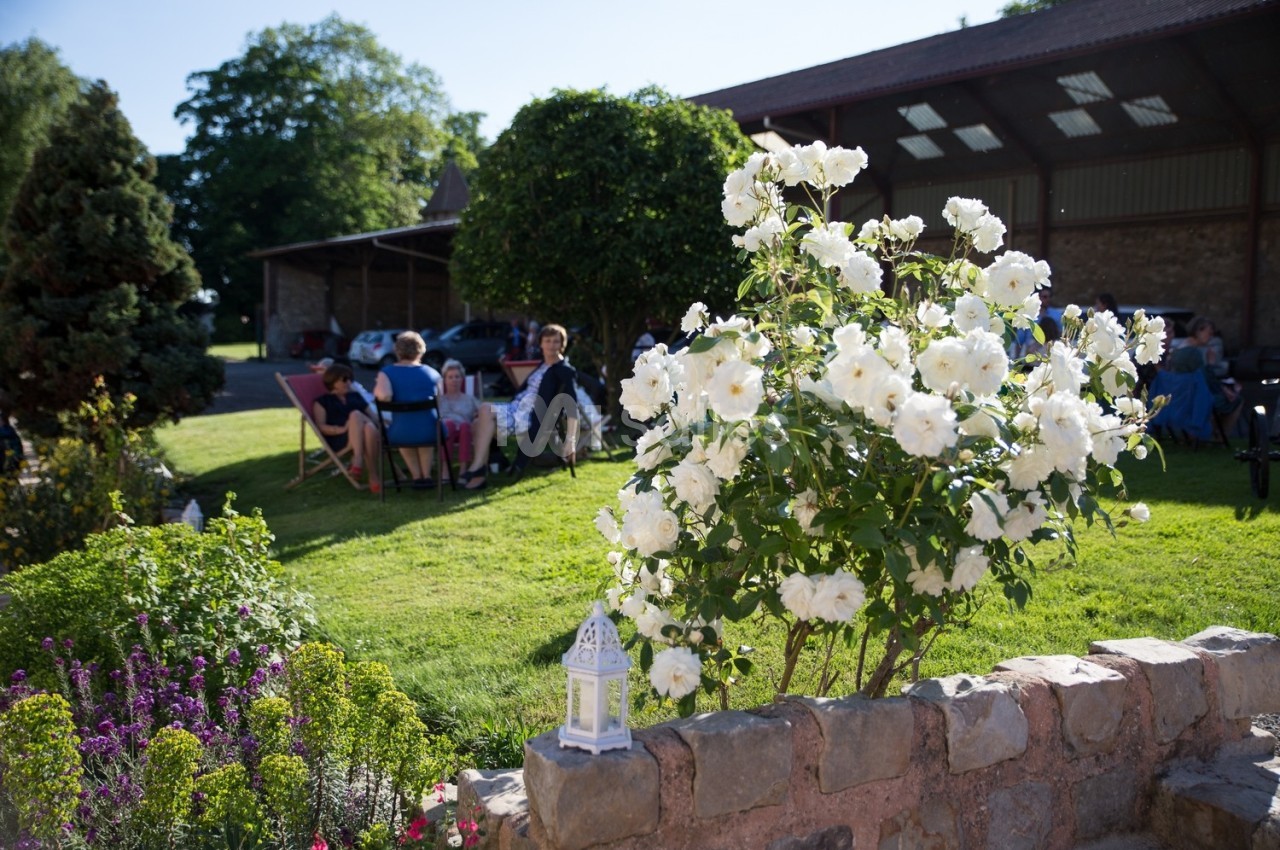 Un rosier blanc en fleurs devant un muret en pierre, avec des personnes assises dans un jardin en arrière-plan.