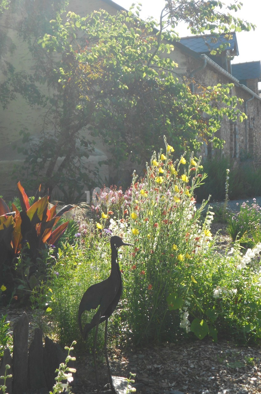 Jardin ensoleillé avec des fleurs colorées, un arbuste et une sculpture métallique en forme d'oiseau au premier plan.