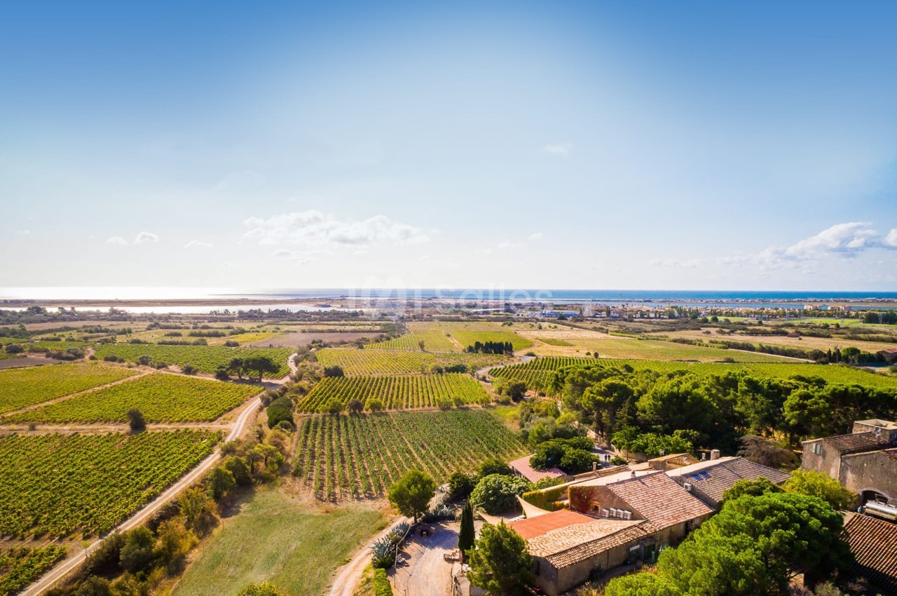 Vue aérienne d'une campagne avec des vignobles, des bâtiments en pierre et un horizon dégagé sous un ciel bleu.