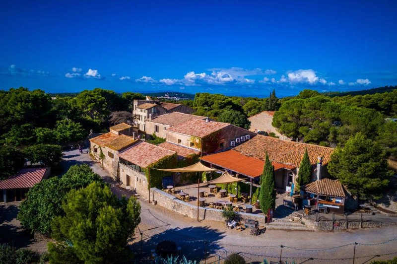Château le Bouis - photo 1