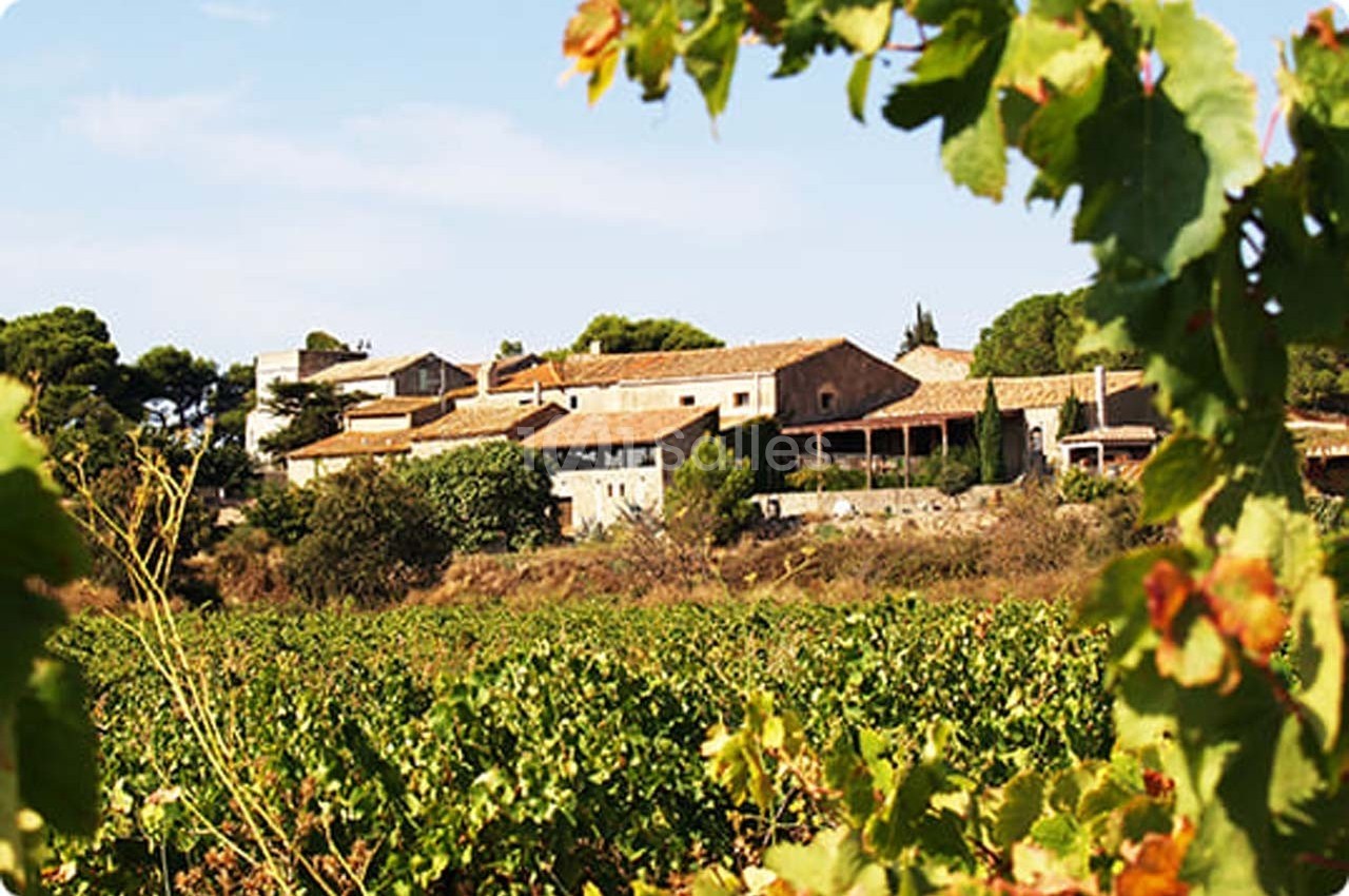 Vue d'un domaine viticole entouré de vignes sous un ciel dégagé, avec des bâtiments en pierre et des toits en tuiles.