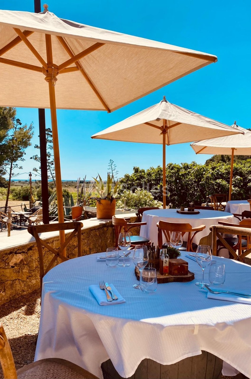 Terrasse ensoleillée d'un restaurant avec tables dressées, chaises en bois et parasols, entourée de verdure.