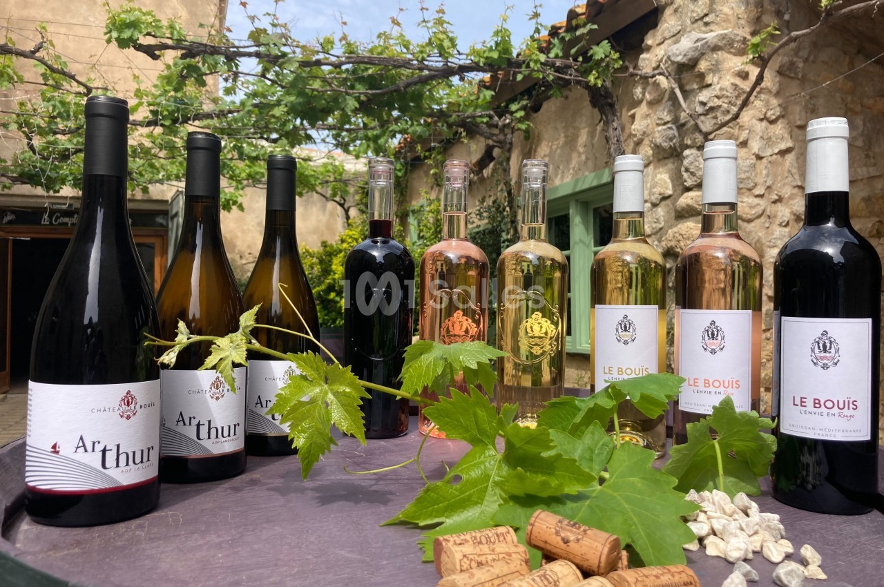 Bouteilles de vin rouge, blanc et rosé disposées sur une table en extérieur avec des feuilles de vigne et des bouchons en…
