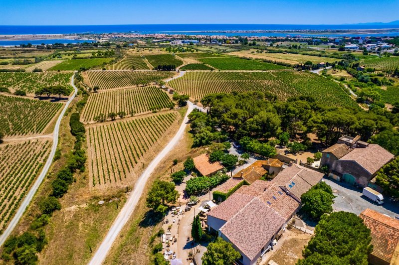 Château le Bouis - photo 3